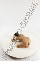 Photo Reference of gymnastic reference pose of